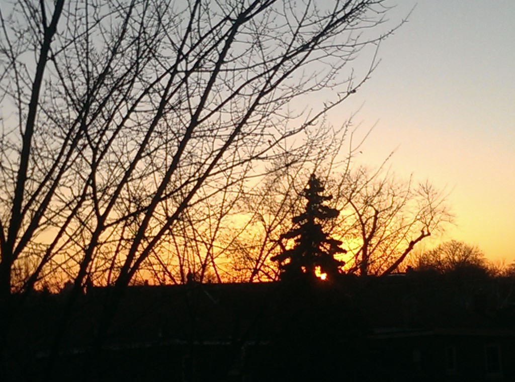 Sunset view from new upper deck first day of Spring